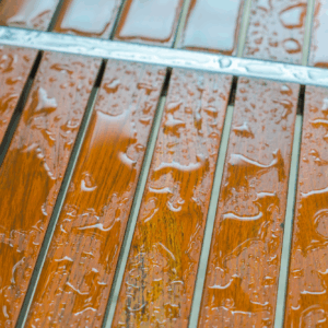 obraz_2025-08-12_112717011